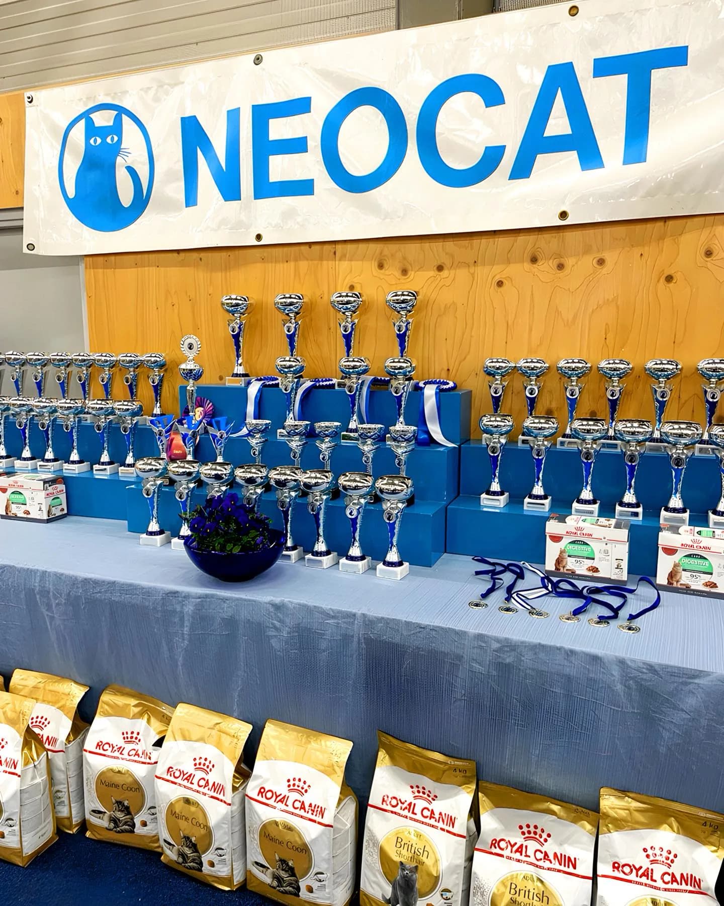 SOK van Neocat — nieuws