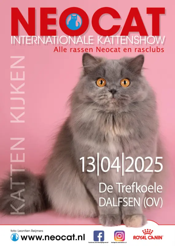 2025-04-13_poster-Dalfsen_VERKLEIND